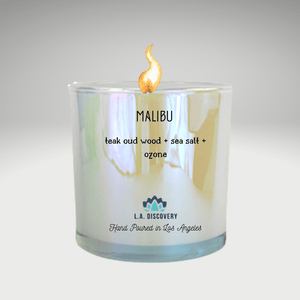 LA Discovery candles 14 oz glass jar 'Malibu' Scented Candle | Teak + Oud w/ Sea Salt + Ozone