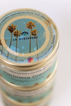 Load image into Gallery viewer, LA Discovery candles &#39;Grounded&#39; Scented Candle | Lime + Basil