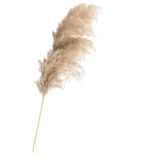 Load image into Gallery viewer, L.A. Discovery Dried Pampas Grass Decor