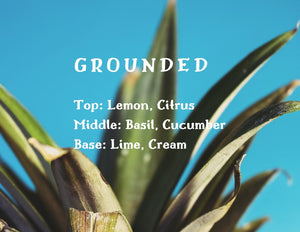 LA Discovery candles 'Grounded' Scented Candle | Lime + Basil